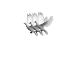 white dove release