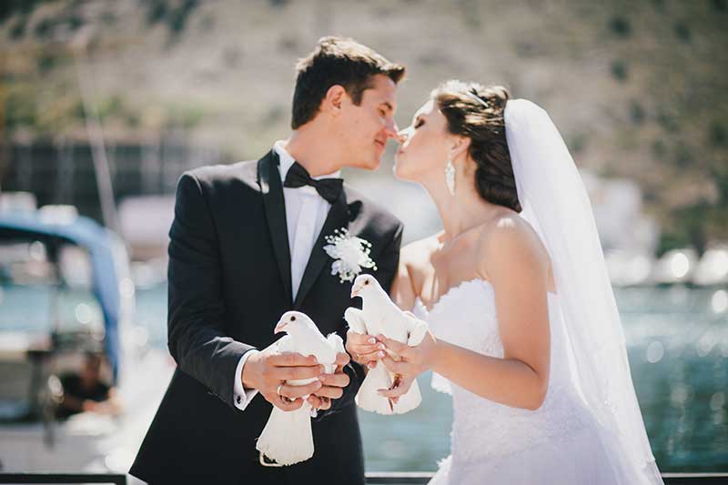 White Dove Wedding Dress